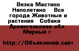 Вязка Мастино Наполетано  - Все города Животные и растения » Собаки   . Архангельская обл.,Мирный г.